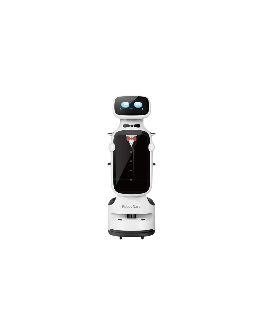 DINERBOT T11
